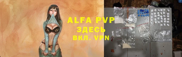 Альфа ПВП Белокуриха