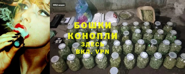 Альфа ПВП Белокуриха
