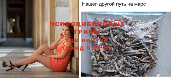 мяу мяу мука Белоозёрский